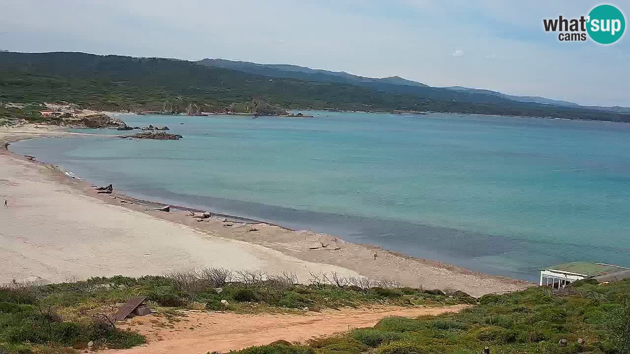 Plaža La Liccia v živo Rena Majore – Santa Teresa Gallura spletna kamera Sardinija