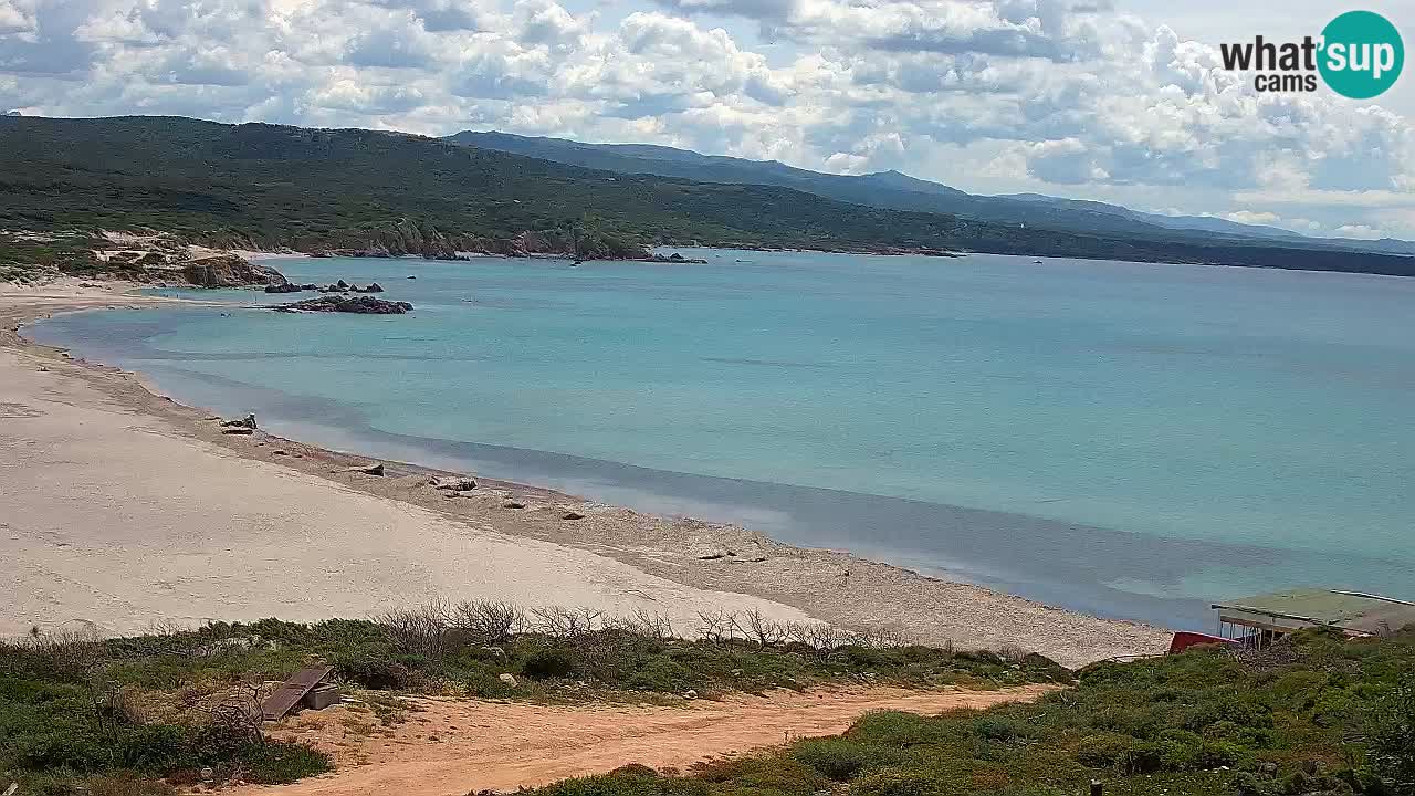 Plaža La Liccia v živo Rena Majore – Santa Teresa Gallura spletna kamera Sardinija