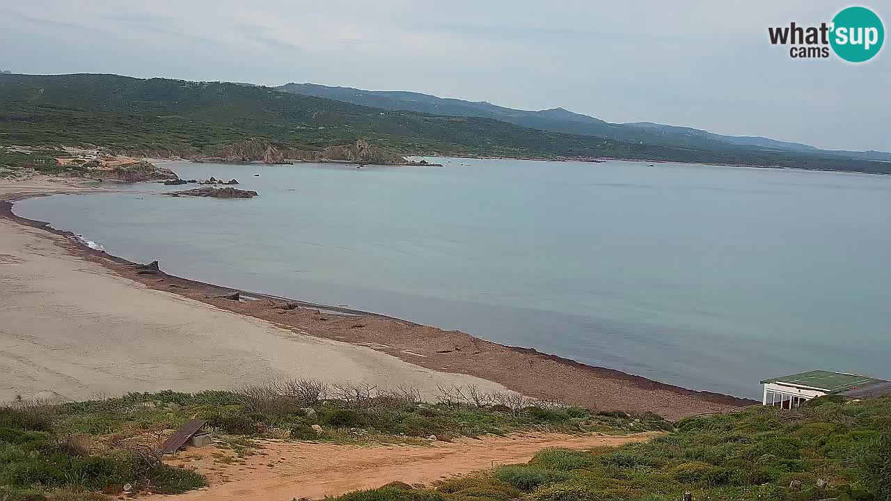 Spiaggia La Liccia webcam Rena Majore – Santa Teresa Gallura livecam Sardegna