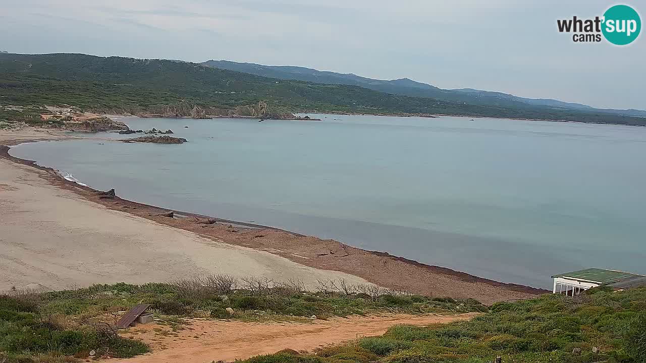 La Liccia beach webcam Rena Majore – Santa Teresa Gallura livecam Sardinia