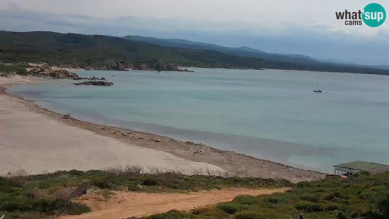 Plaža La Liccia v živo Rena Majore – Santa Teresa Gallura spletna kamera Sardinija