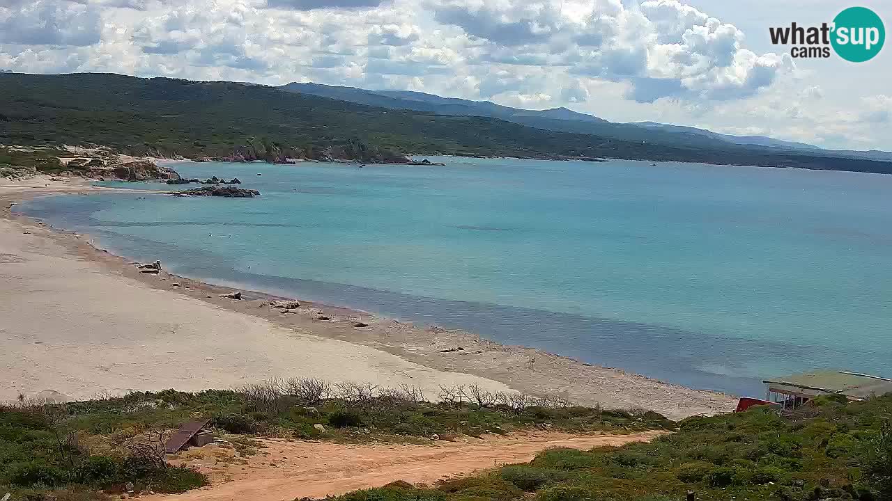 Plaža La Liccia v živo Rena Majore – Santa Teresa Gallura spletna kamera Sardinija