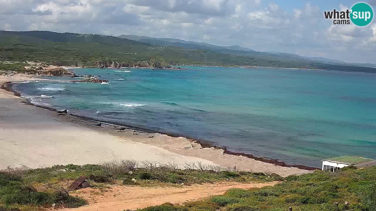 Plaža La Liccia v živo Rena Majore – Santa Teresa Gallura spletna kamera Sardinija