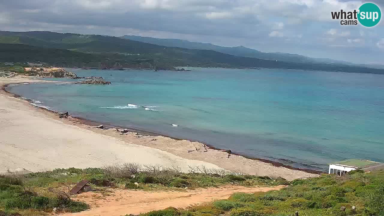Spiaggia La Liccia webcam Rena Majore – Santa Teresa Gallura livecam Sardegna