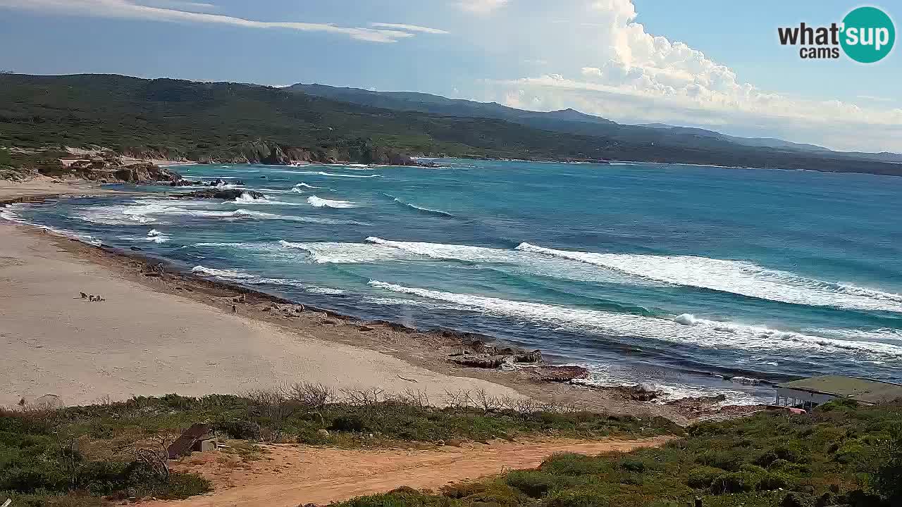 Plaža La Liccia u živo Rena Majore – Santa Teresa Gallura web kamera Sardinija
