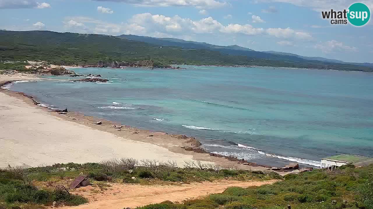 Plaža La Liccia v živo Rena Majore – Santa Teresa Gallura spletna kamera Sardinija