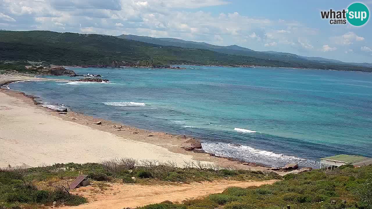 Plaža La Liccia v živo Rena Majore – Santa Teresa Gallura spletna kamera Sardinija