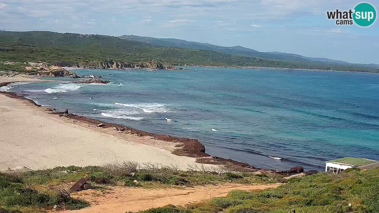 Spiaggia La Liccia webcam Rena Majore – Santa Teresa Gallura livecam Sardegna