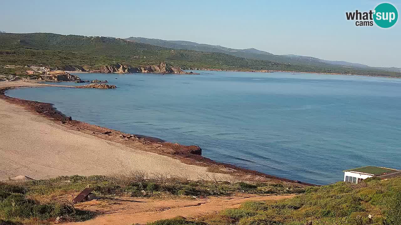 Plaža La Liccia v živo Rena Majore – Santa Teresa Gallura spletna kamera Sardinija