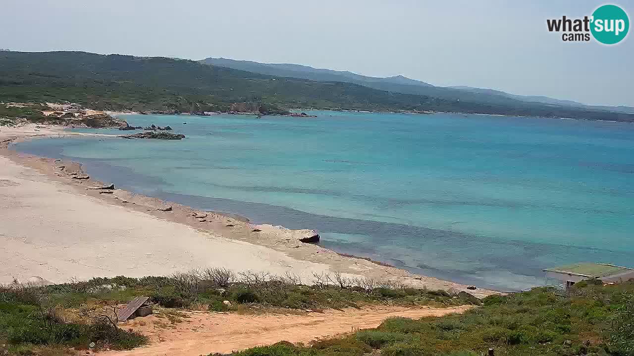 Plaža La Liccia v živo Rena Majore – Santa Teresa Gallura spletna kamera Sardinija