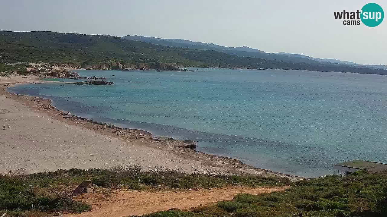 Plaža La Liccia v živo Rena Majore – Santa Teresa Gallura spletna kamera Sardinija