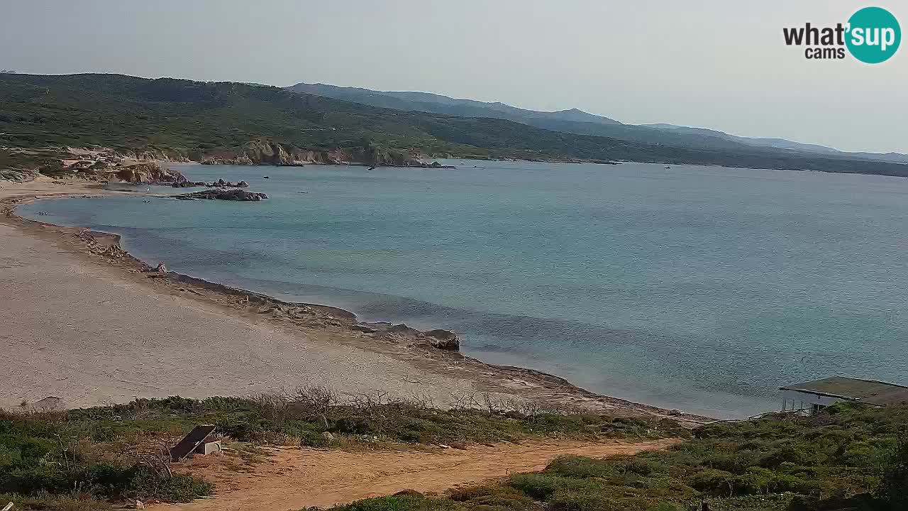 Spiaggia La Liccia webcam Rena Majore – Santa Teresa Gallura livecam Sardegna