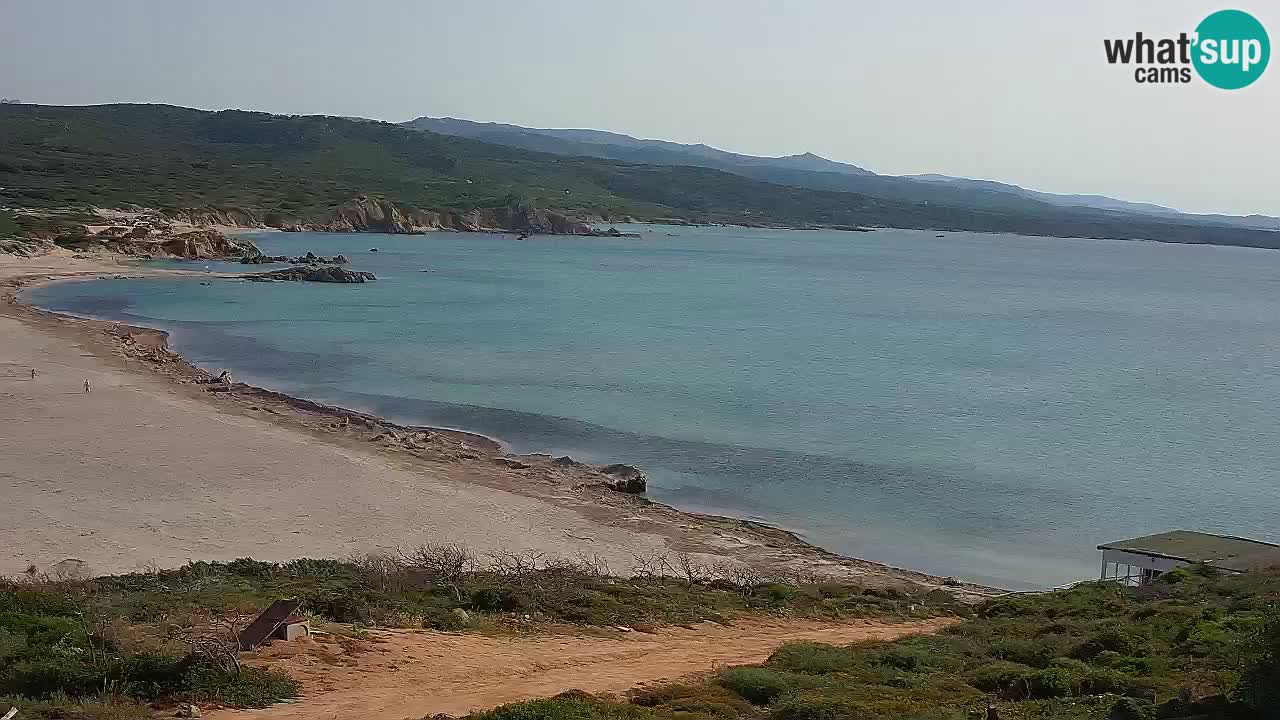 Plaža La Liccia v živo Rena Majore – Santa Teresa Gallura spletna kamera Sardinija