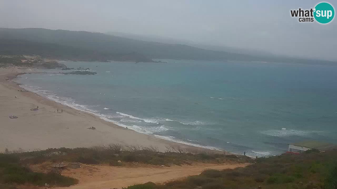 Plaža La Liccia v živo Rena Majore – Santa Teresa Gallura spletna kamera Sardinija