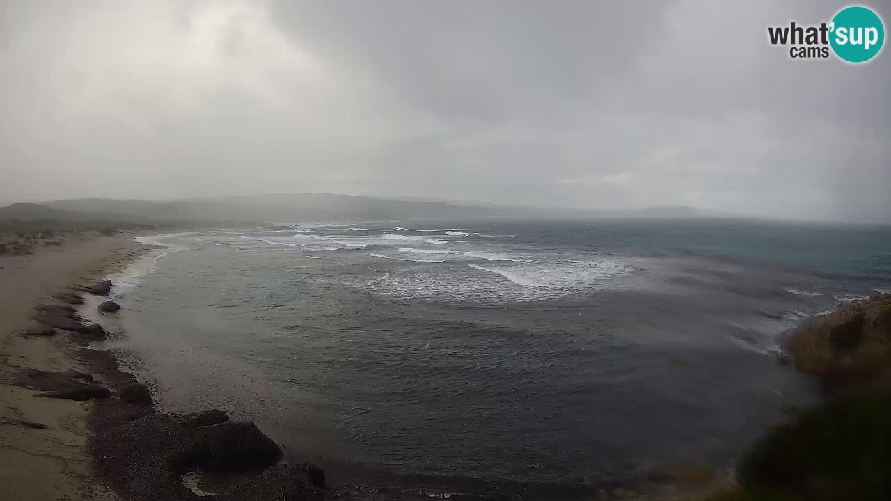 Plaža La Liccia v živo Rena Majore – Santa Teresa Gallura spletna kamera Sardinija
