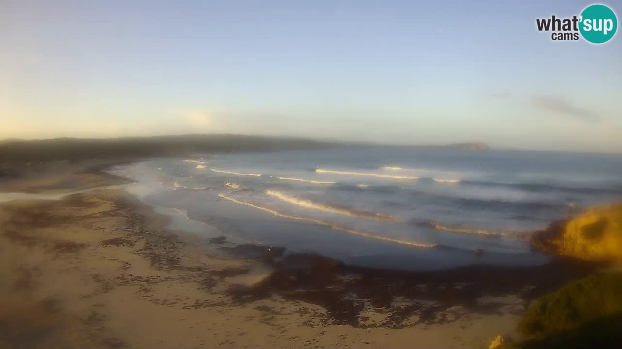 Plaža La Liccia v živo Rena Majore – Santa Teresa Gallura spletna kamera Sardinija
