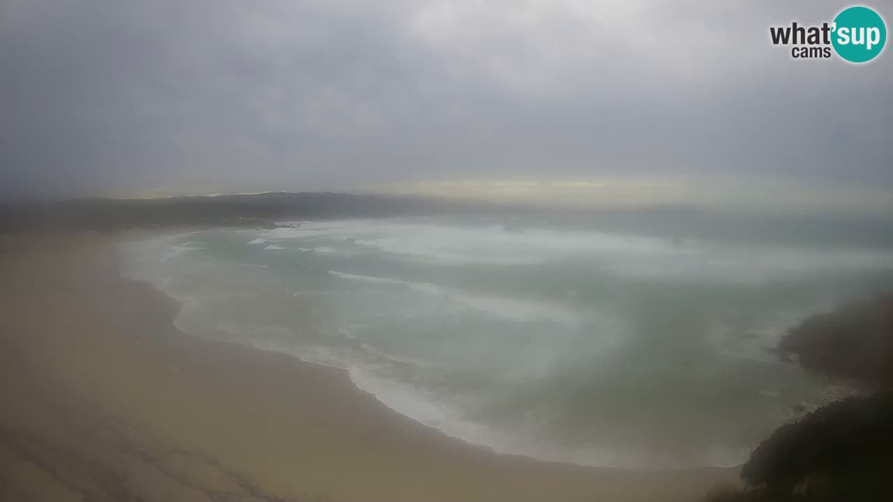 Plaža La Liccia v živo Rena Majore – Santa Teresa Gallura spletna kamera Sardinija
