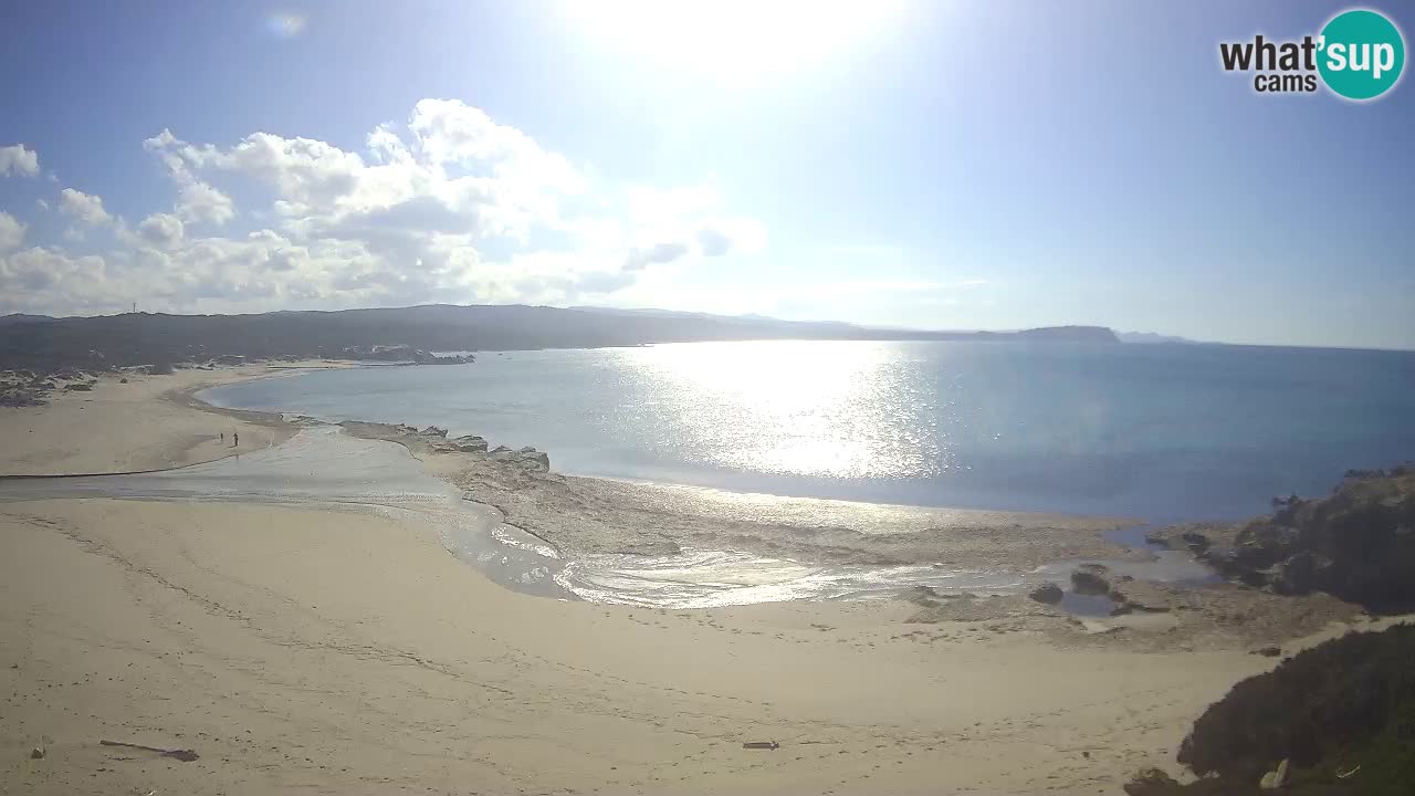 Plaža La Liccia v živo Rena Majore – Santa Teresa Gallura spletna kamera Sardinija