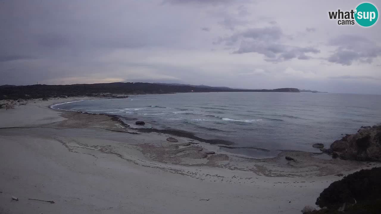 Plaža La Liccia v živo Rena Majore – Santa Teresa Gallura spletna kamera Sardinija
