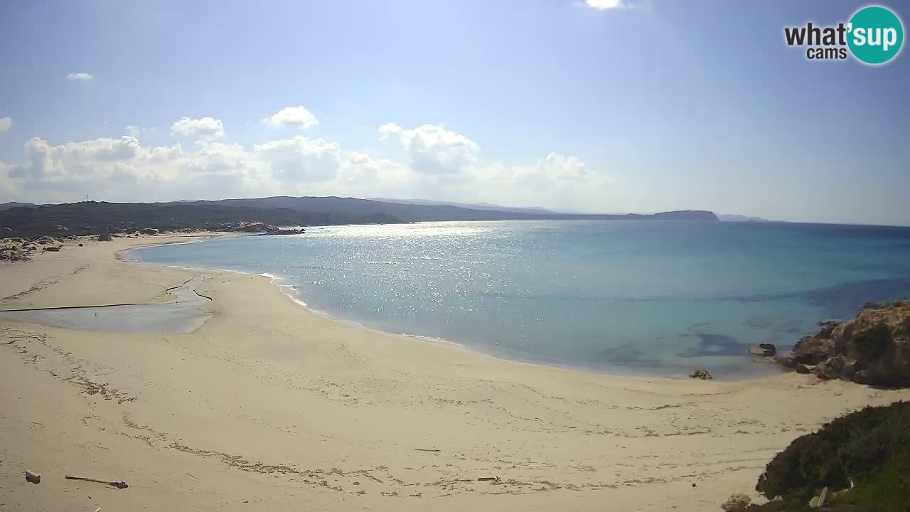 Plaža La Liccia v živo Rena Majore – Santa Teresa Gallura spletna kamera Sardinija