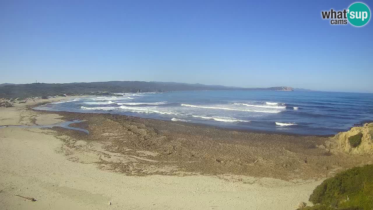 La Liccia beach webcam Rena Majore – Santa Teresa Gallura livecam Sardinia