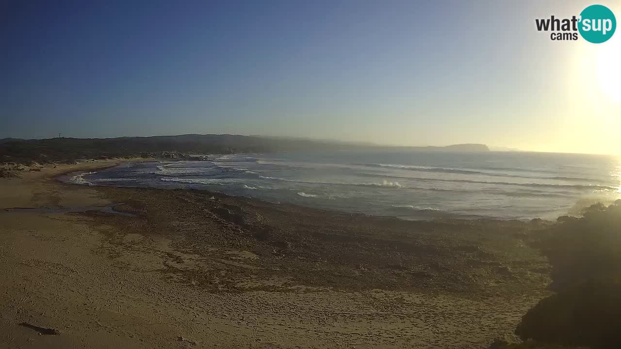 Plaža La Liccia v živo Rena Majore – Santa Teresa Gallura spletna kamera Sardinija