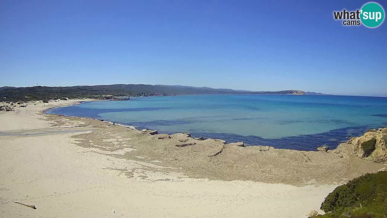 Plaža La Liccia v živo Rena Majore – Santa Teresa Gallura spletna kamera Sardinija