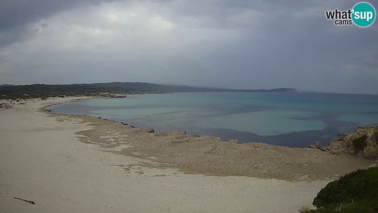 La Liccia plage livecam Rena Majore – Santa Teresa Gallura webcam Sardaigne