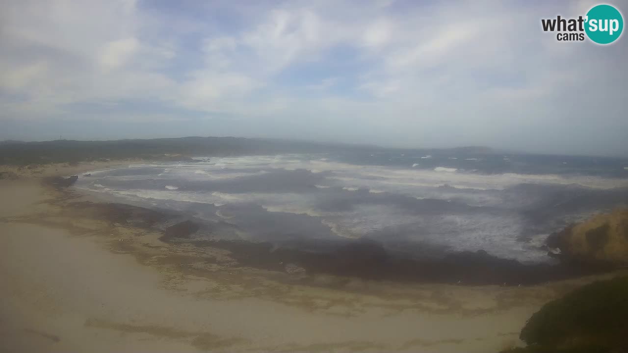 Spiaggia La Liccia webcam Rena Majore – Santa Teresa Gallura livecam Sardegna