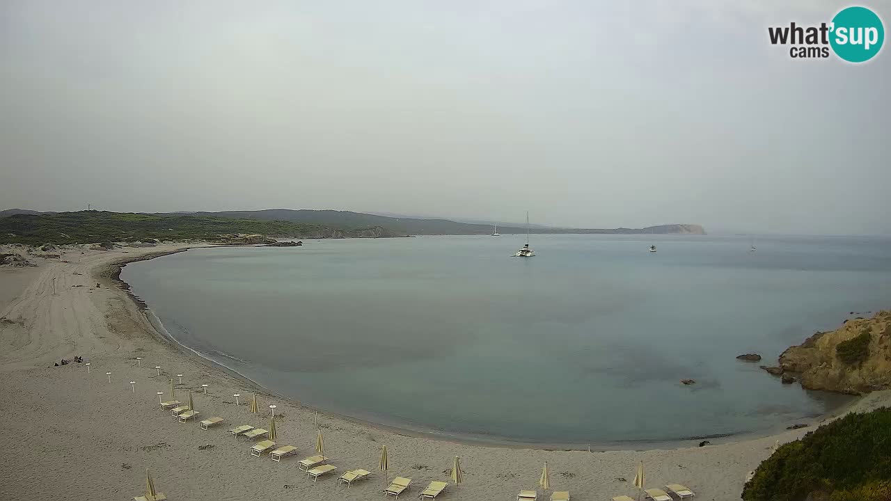 Plaža La Liccia v živo Rena Majore – Santa Teresa Gallura spletna kamera Sardinija