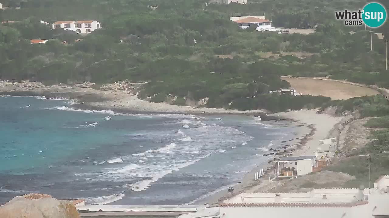 Live Webcam Capo Testa the beach of 2 sea – Santa Teresa Gallura – livecam Sardinia