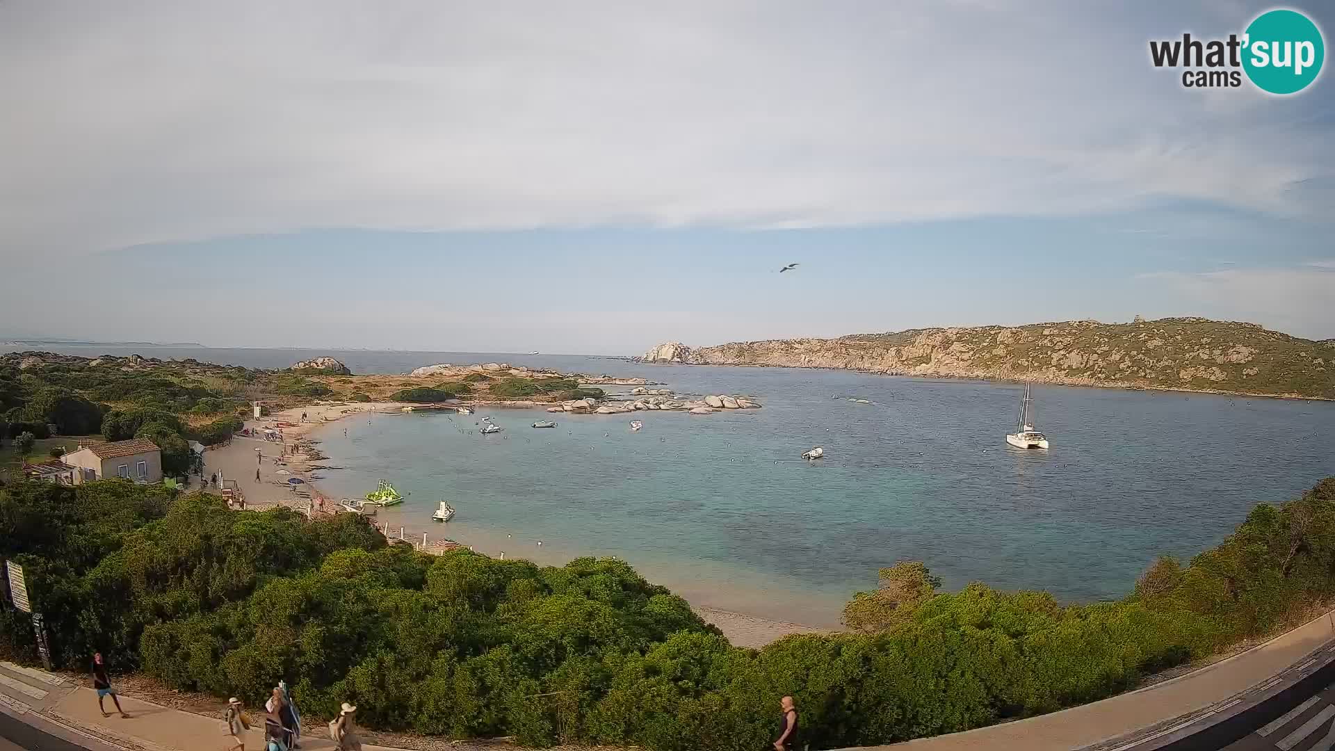 Webcam Rena di Levante – Vista live da Capo Testa