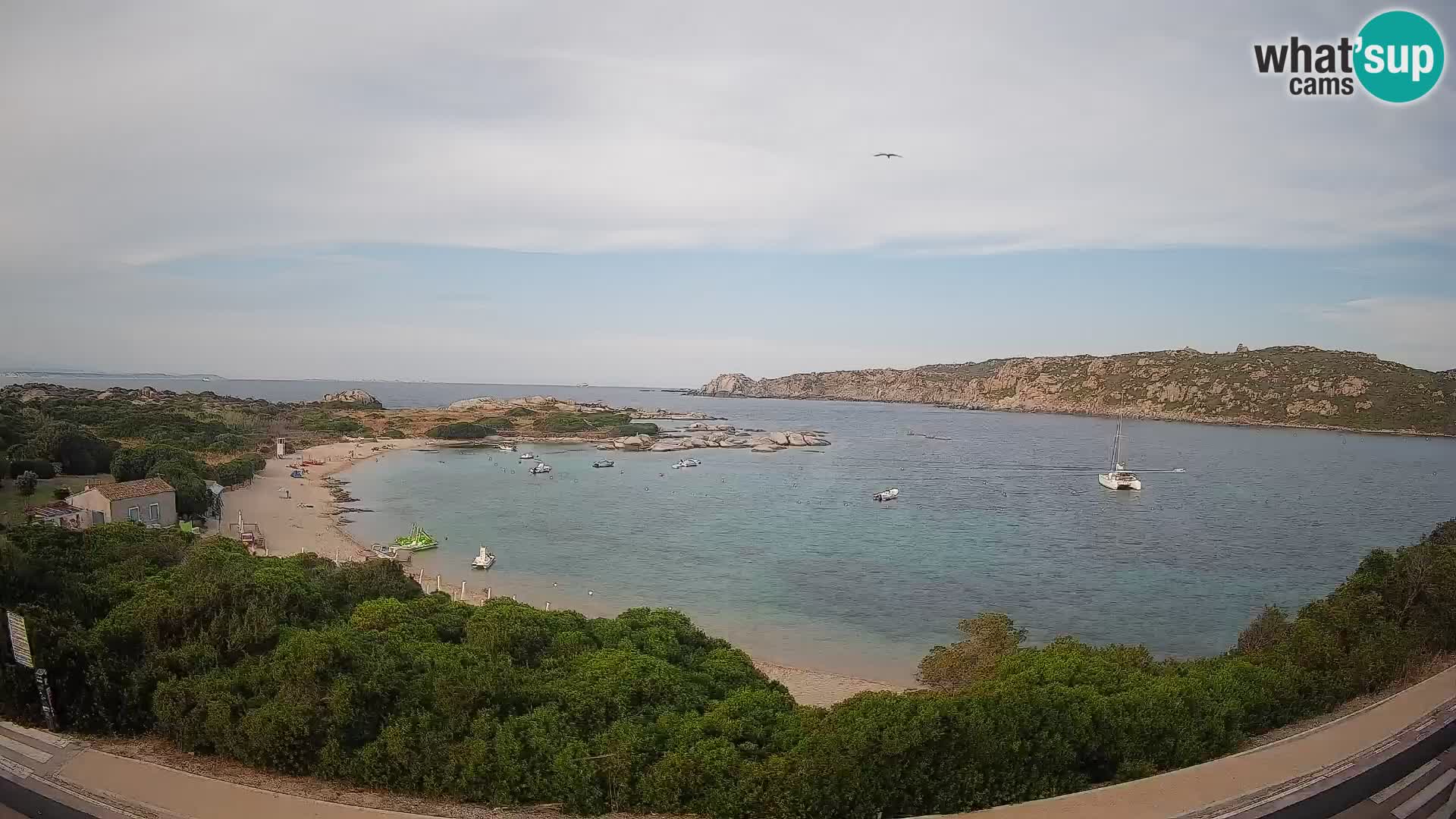 Web kamera Rena di Levante – Pogled uživo s Capo Testa