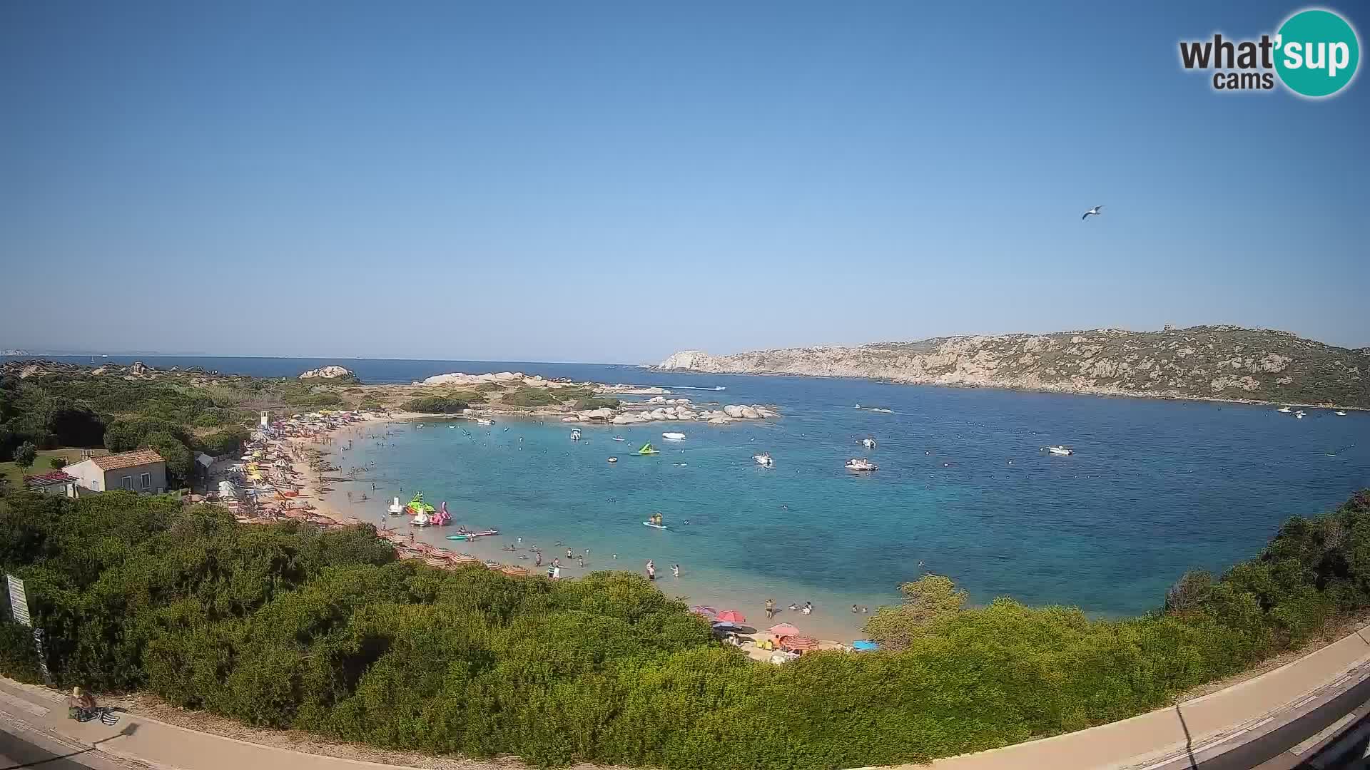 Webcam Rena di Levante – Live View from Capo Testa