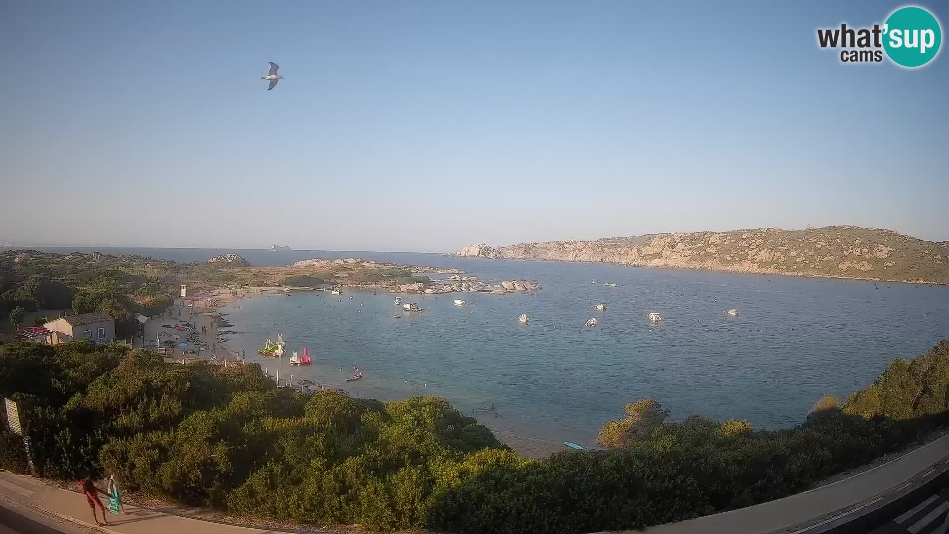 Webcam Rena di Levante – Live View from Capo Testa