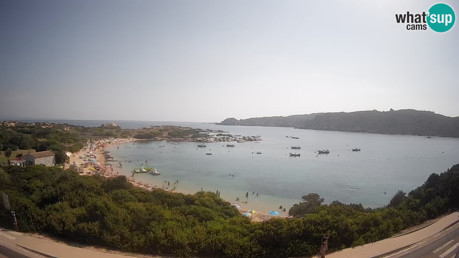 Webcam Rena di Levante – Vista live da Capo Testa