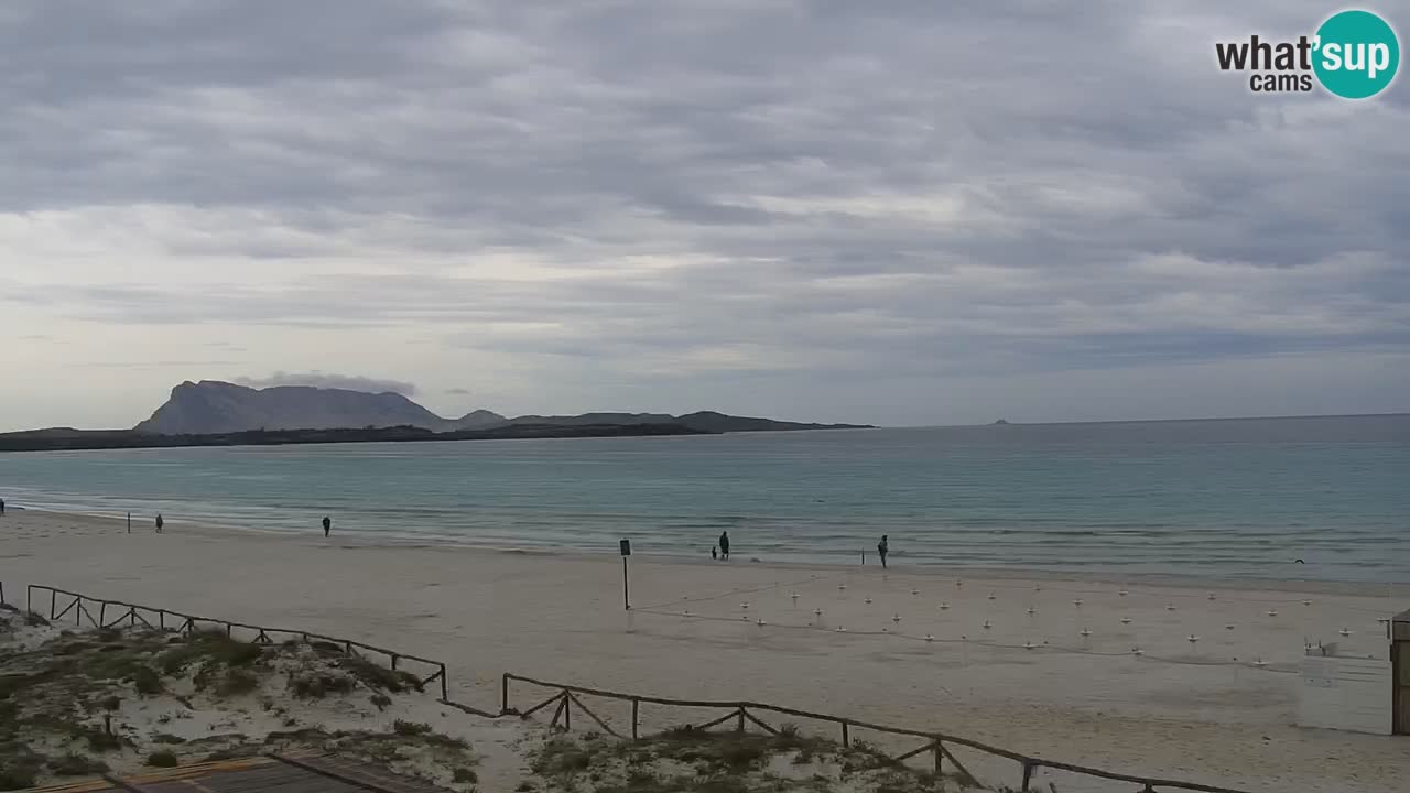 Spiaggia de L’Isuledda – San Teodoro (OT) – Sardegna