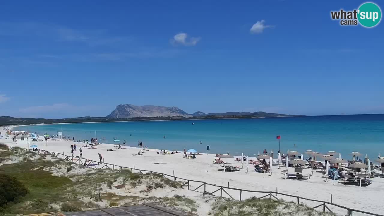 Strand de L’Isuledda – San Teodoro (OT) – Sardinien