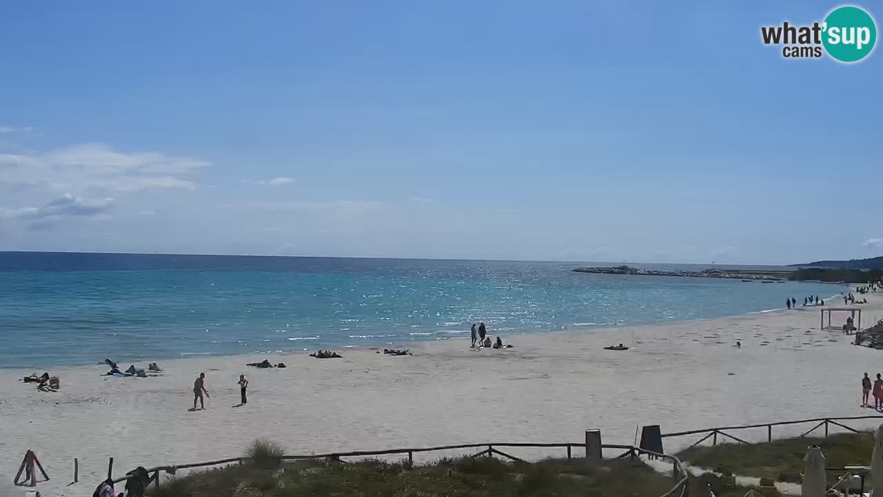Beach de L’Isuledda – San Teodoro (OT) – Sardinia