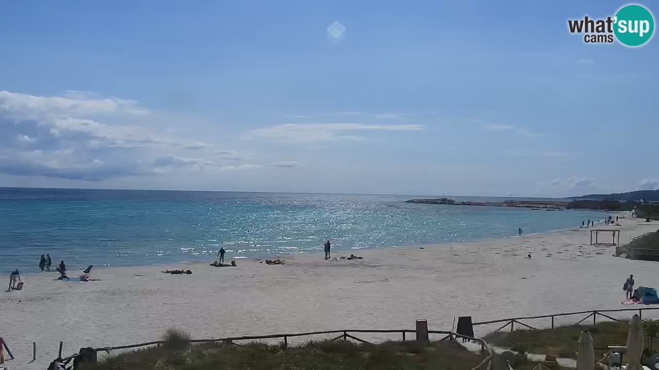 Beach de L’Isuledda – San Teodoro (OT) – Sardinia