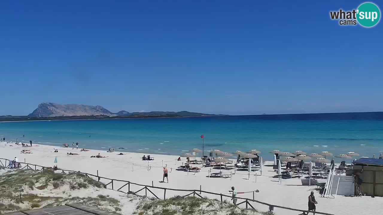 Strand de L’Isuledda – San Teodoro (OT) – Sardinien