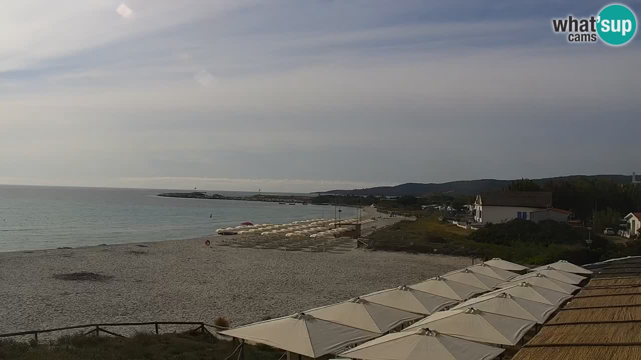 Beach de L’Isuledda – San Teodoro (OT) – Sardinia