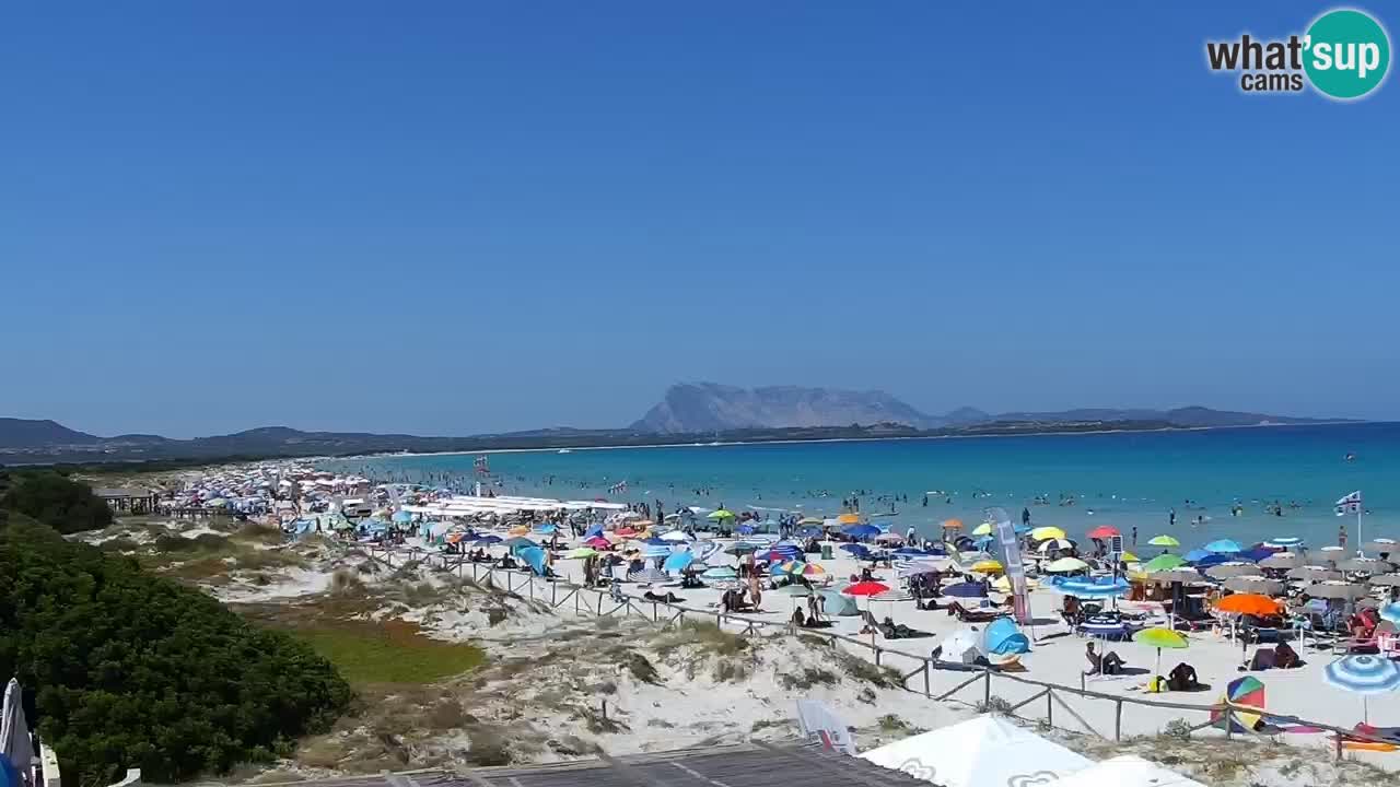 Webcam La Cinta spiaggia di San Teodoro (OT) – Sardegna