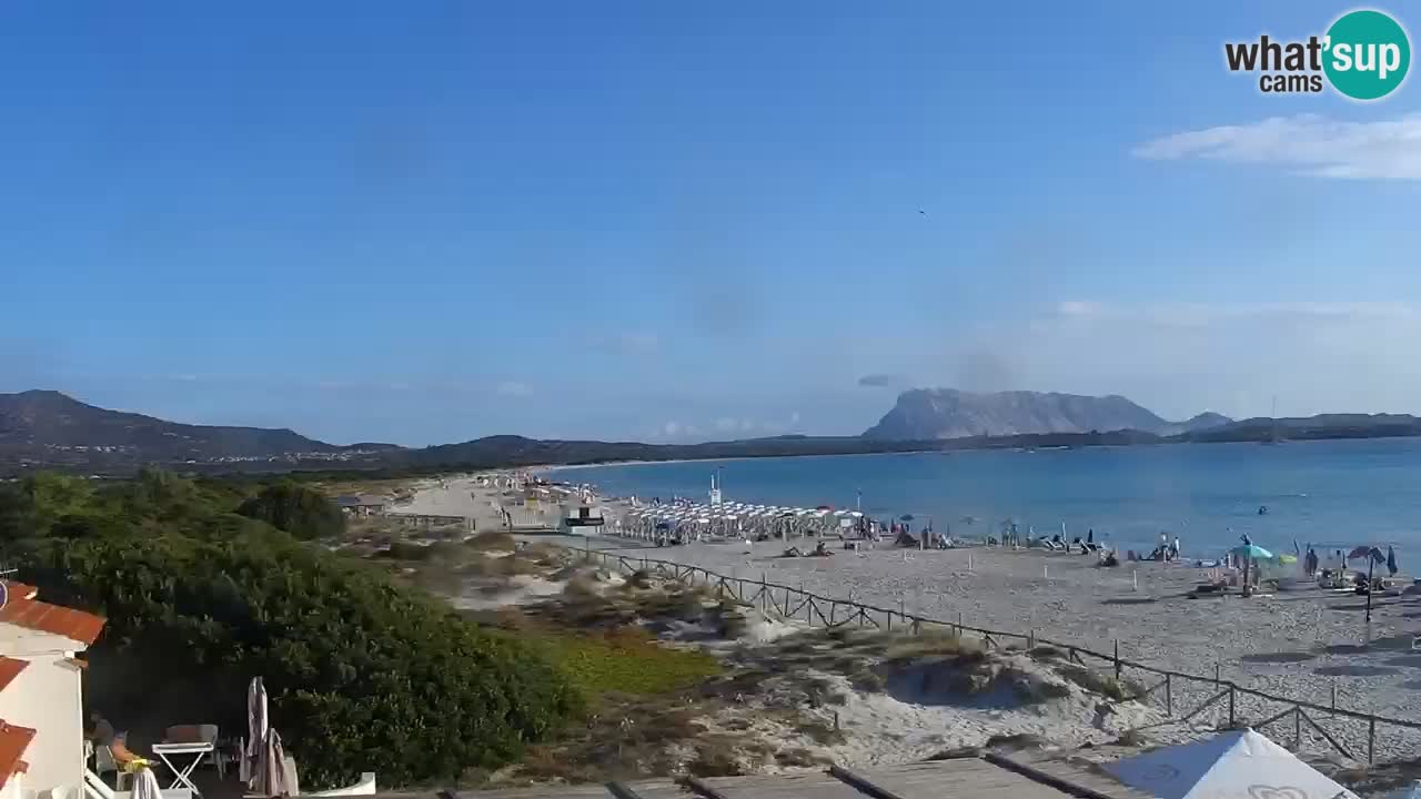 Strand de L’Isuledda – San Teodoro (OT) – Sardinien