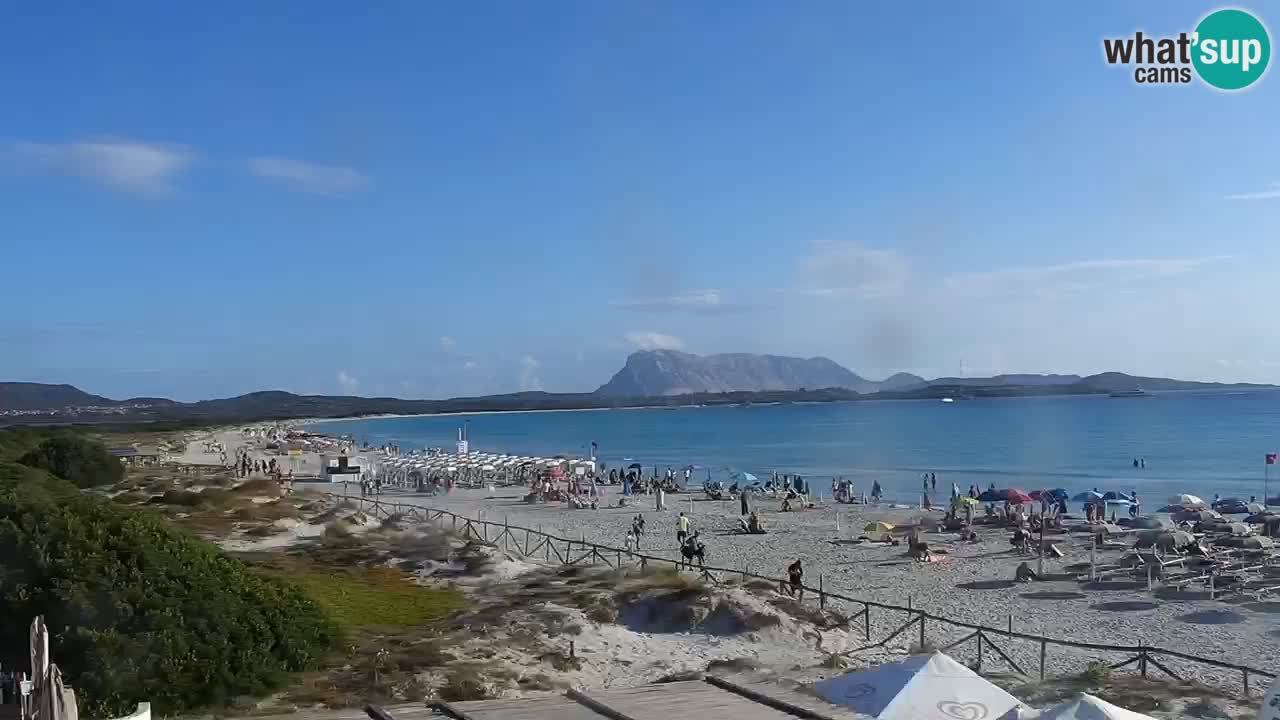 Webcam La Cinta spiaggia di San Teodoro (OT) – Sardegna