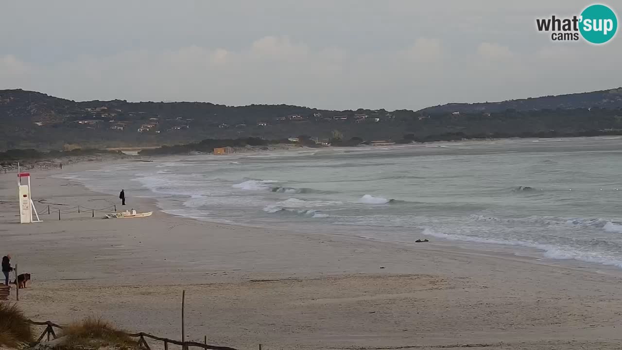 Plaža de L’Isuledda – San Teodoro (OT) – Sardinija