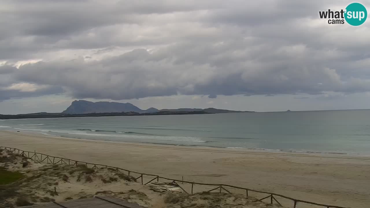 Webcam La Cinta spiaggia di San Teodoro (OT) – Sardegna