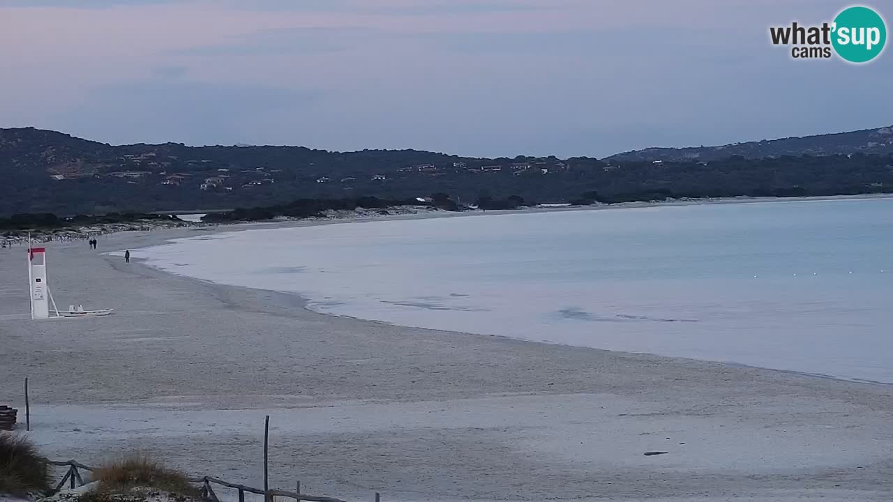 Strand de L’Isuledda – San Teodoro (OT) – Sardinien