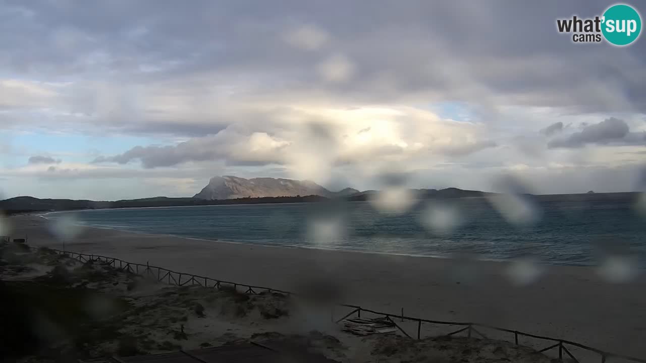 Playa de L’Isuledda – San Teodoro (OT) – Cerdeña