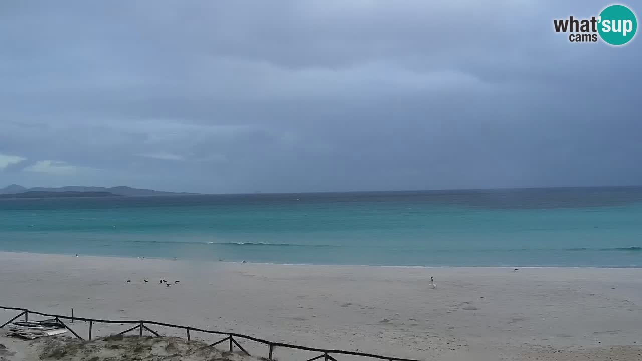 Strand de L’Isuledda – San Teodoro (OT) – Sardinien